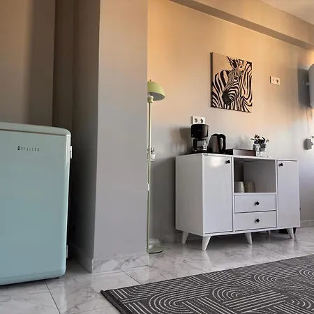 In A Digital Nomad House 107 Istanbul